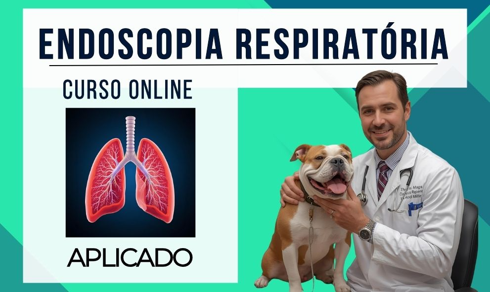 Endoscopia Respiratória aplicada em Cães e Gatos