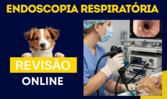 Revisão e Atualização aplicada na Endoscopia Respiratória