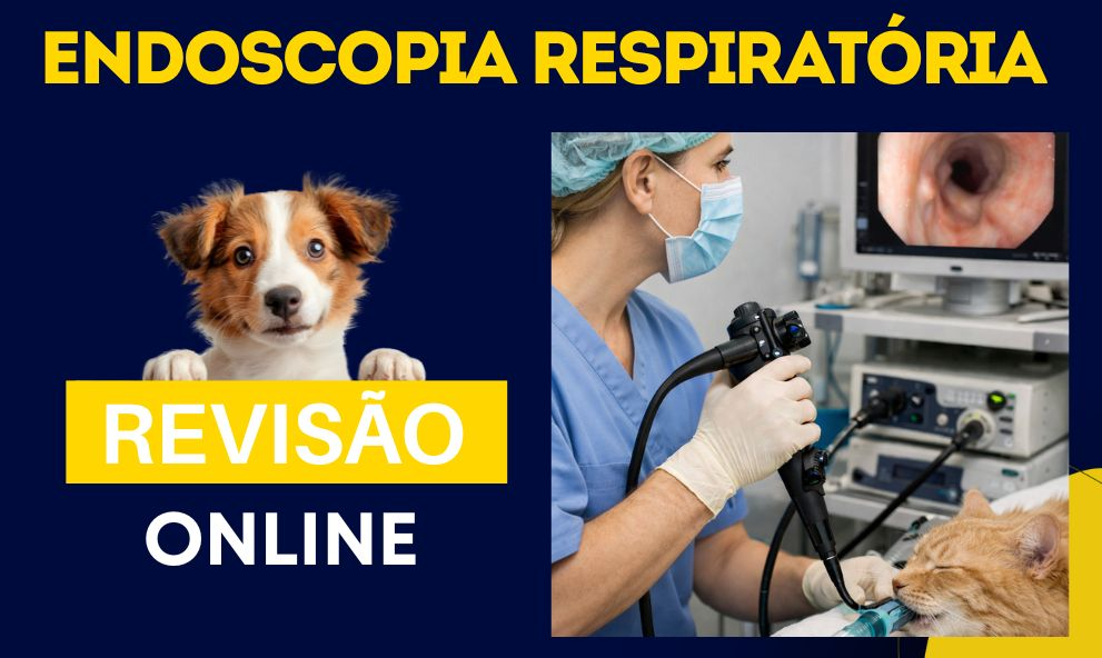 Curso online de Revisão e Atualização aplicada para Medicina Veterinária | Endoscopia Respiratória