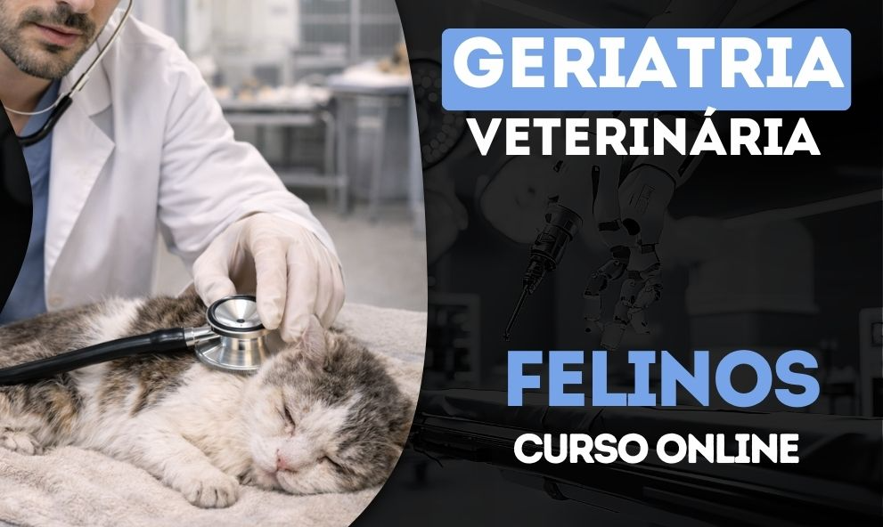 Geriatria Veterinária em Felinos