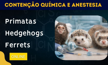 Curso online de atualização aplicada à Medicina Veterinária | Contenção Química e Anestesia em Mamíferos: Primatas, Hedgehogs e Ferrets