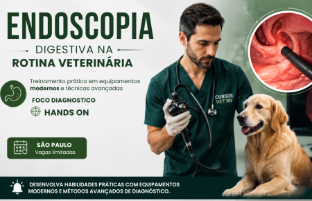 Endoscopia Veterinária Digestiva em Cães e Gatos | São Paulo - 100% Presencial
