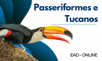 Medicina de aves | Passeriformes e Tucanos