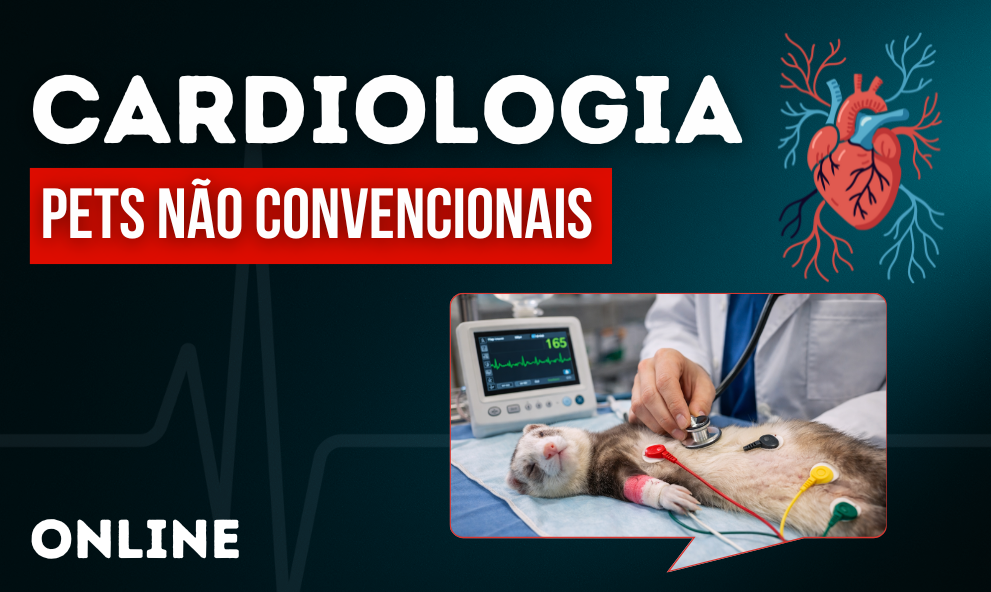 Cardiologia em Pets não Convencionais