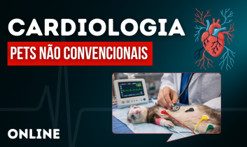Cardiologia em Pets não Convencionais
