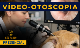 Video - Otoscopia em Cães e Gatos | São Paulo