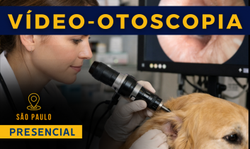 Video - Otoscopia em Cães e Gatos | São Paulo