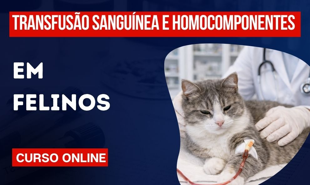 Transfusão Sanguinea e Homocomponentes em Felinos