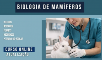 Biologia de Mamíferos | Coelhos, Roedores, Ferrets, Hedgehogs e Petauro-do-açúcar