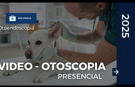 Video - Otoscopia em Cães e Gatos | São Paulo