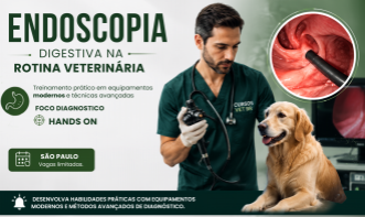 Endoscopia Veterinária Digestiva em Cães e Gatos | São Paulo - 100% Presencial