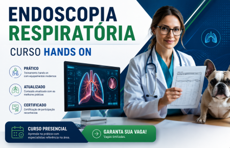Endoscopia Veterinária - Trato Respiratório | São Paulo - 100% Presencial