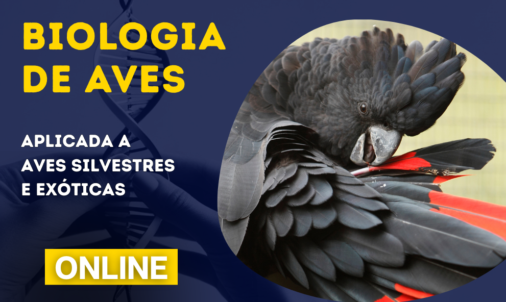 Biologia de Aves Silvestres