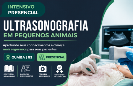 Ultrassonografia Abdominal em Pequenos Animais | Porto Alegre