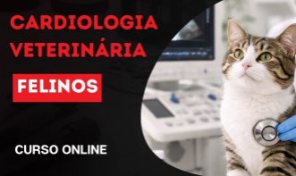 Cardiologia Veterinária em Felinos