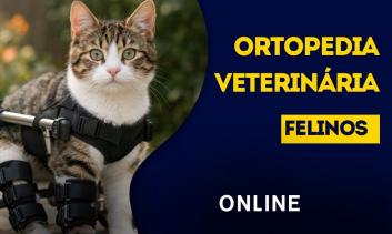 Ortopedia Veterinária em Felinos | EAD