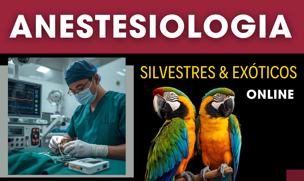 Anestesia Aplicada em Animais Silvestres e Exóticos | EAD