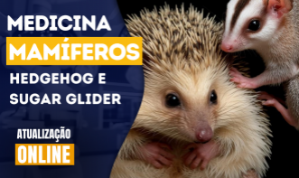 Medicina de Mamíferos| Hedgehog e Sugar Glider