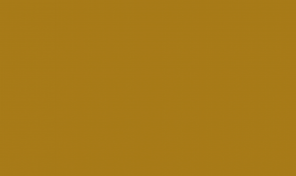 ALOJAMENTO CURSOS VET