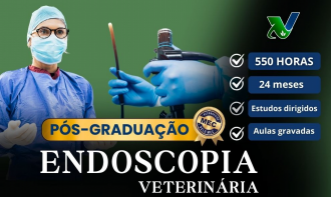 Pós  - Graduação em Endoscopia Veterinária