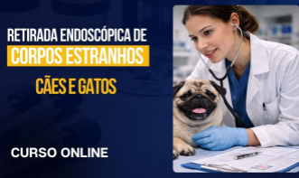 Curso online de atualização aplicada para medicina veterinária | Retirada Endoscópica de Corpos Estranhos em Cães e Gatos