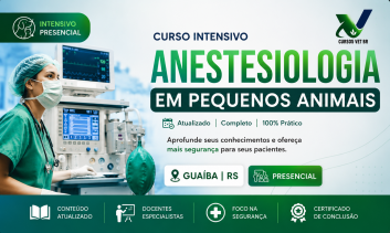 Anestesiologia em Pequenos Animais - Intensivo | Porto Alegre - 100% Presencial
