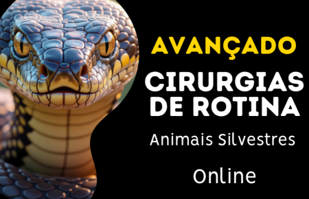 Cirurgias Avançadas em Animais Silvestres e Exóticos