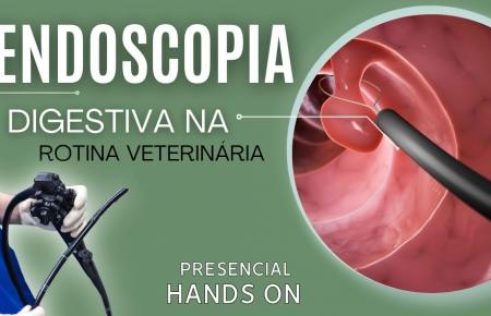 Endoscopia Veterinária Digestiva em Cães e Gatos | São Paulo