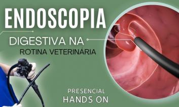 Endoscopia Veterinária Digestiva em Cães e Gatos | São Paulo