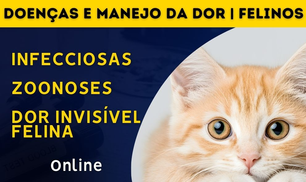 Doenças Infecciosas, Zoonoses e Manejo da Dor em Felinos