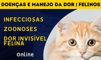 Doenças Infecciosas, Zoonoses e Manejo da Dor em Felinos