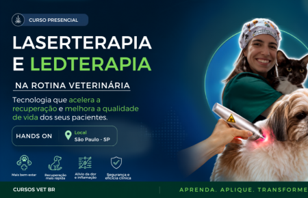 Laserterapia e Ledterapia na Rotina Veterinária | São Paulo