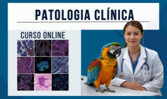 Patologia clínica aplicado a Pets não convencionais | EAD
