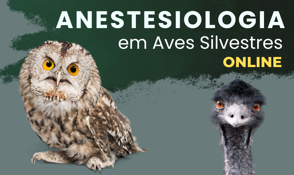Anestesiologia em Aves Silvestres e Exóticas