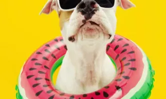 Fabio Augusto Araujo De Lima