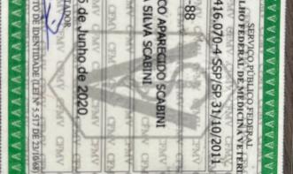 IZADORA MARTINA DA SILVA SCABINI