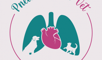 Lorena Lorraine Alves Furtado