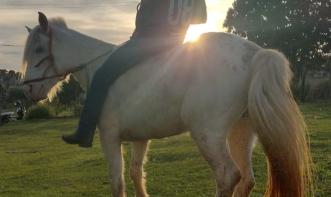 Ryan Kaliel Carvalho da Silva