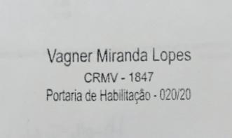 Vagner Miranda Lopes