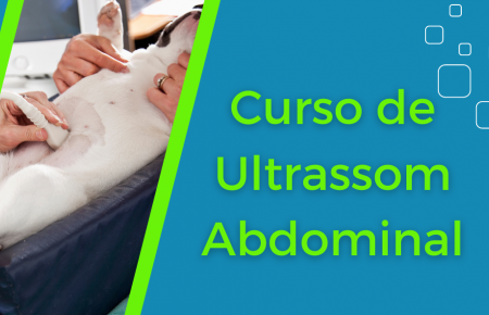 Curso de Ultrassom Abdominal