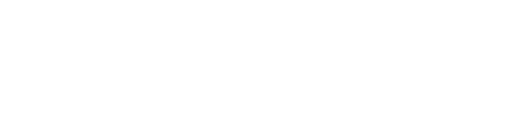 DESENVOLVER TREINAMENTOS LTDA