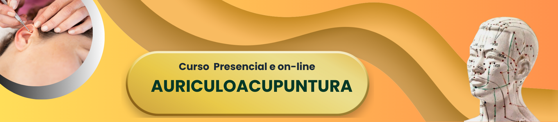 Curso Presencial de Auriculoacupuntura