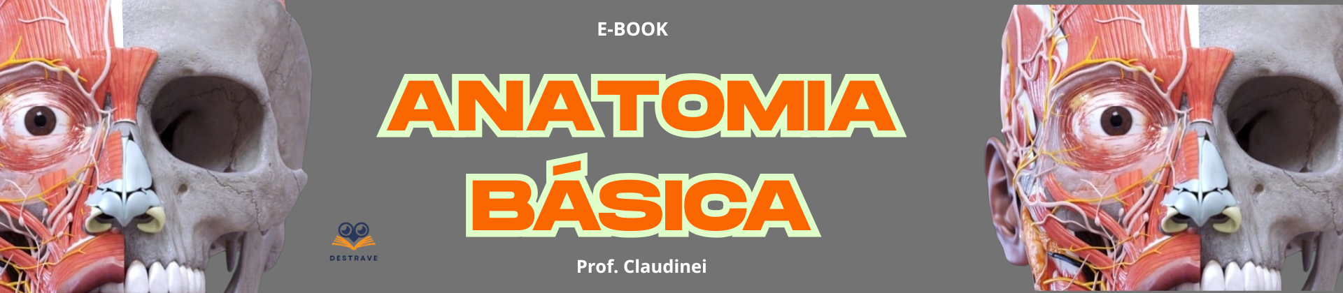 E-Book Anatomia Básica
