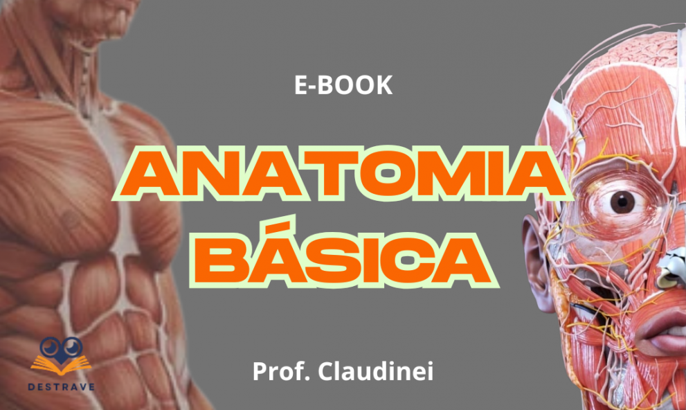 E-Book Anatomia Básica