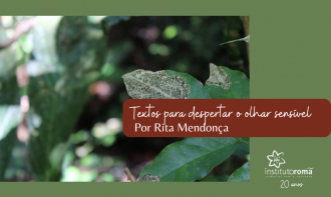 Textos para despertar o olhar sensível por Rita Mendonça