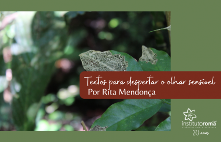 Textos para despertar o olhar sensível por Rita Mendonça