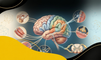 BASES NEUROPSICOLÓGICAS DO DESENVOLVIMENTO PSICOMOTOR