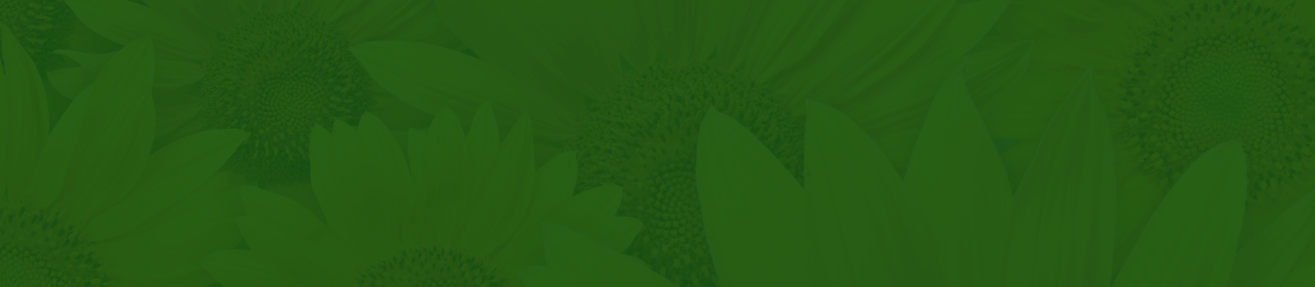 Análise dos Livros: Metamorfose e Carta ao Pai de Franz Kafka, na perspectiva da TCR.