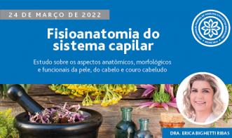 Fisioanatomia do Sistema Capilar