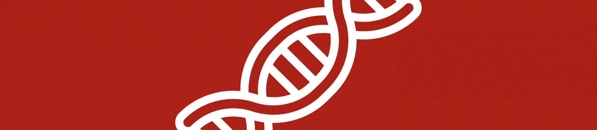 Dna Técnico dos componentes IRB Automotive